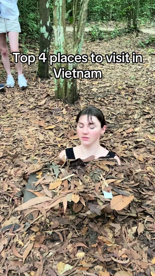 Post 10 by Katie on TikTok (video)
