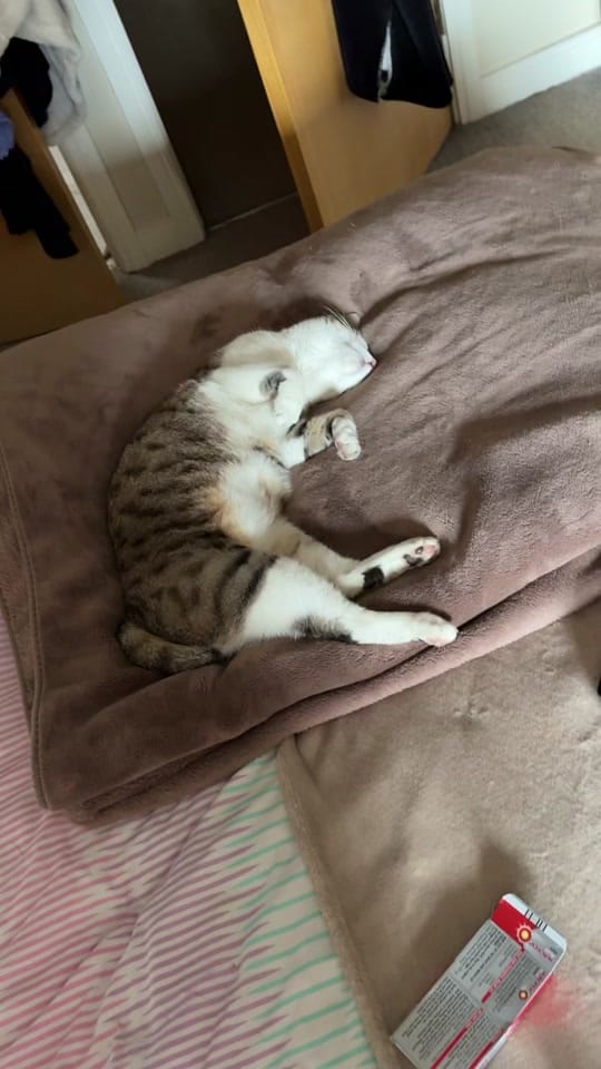 Post 1 by Kim on TikTok (video)