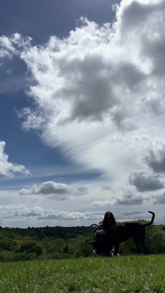 Post 4 by Willow🦋 on TikTok (video)