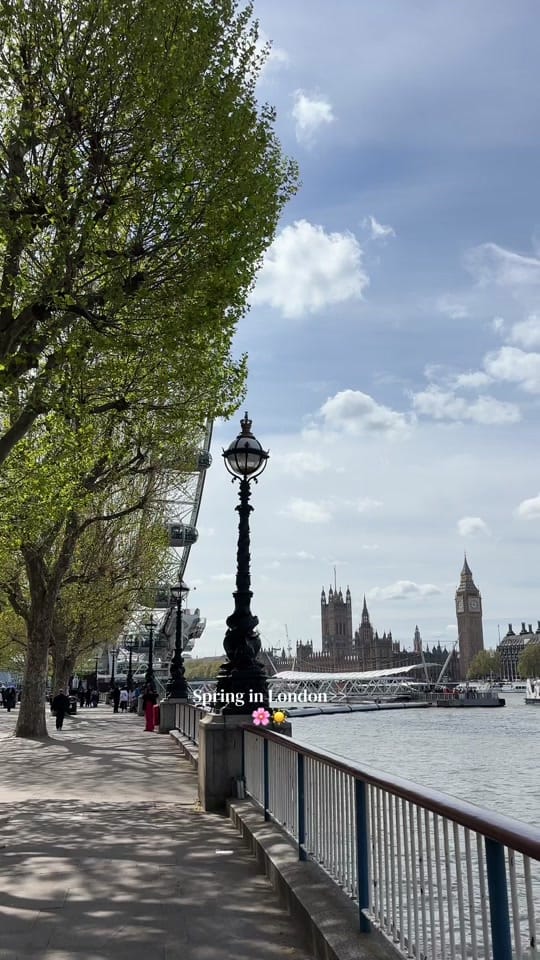 Post 6 by Willow🦋 on TikTok (video)