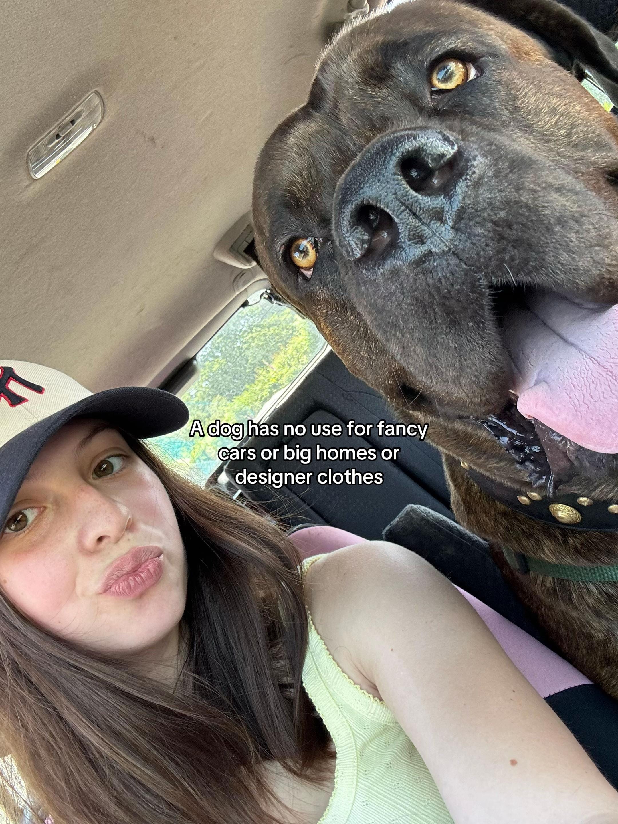 Post 2 by Willow🦋 on TikTok (video)