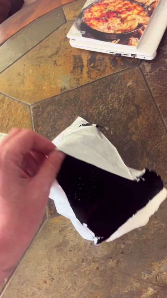 Post 10 by Taylor • Dog Mom on TikTok (video)
