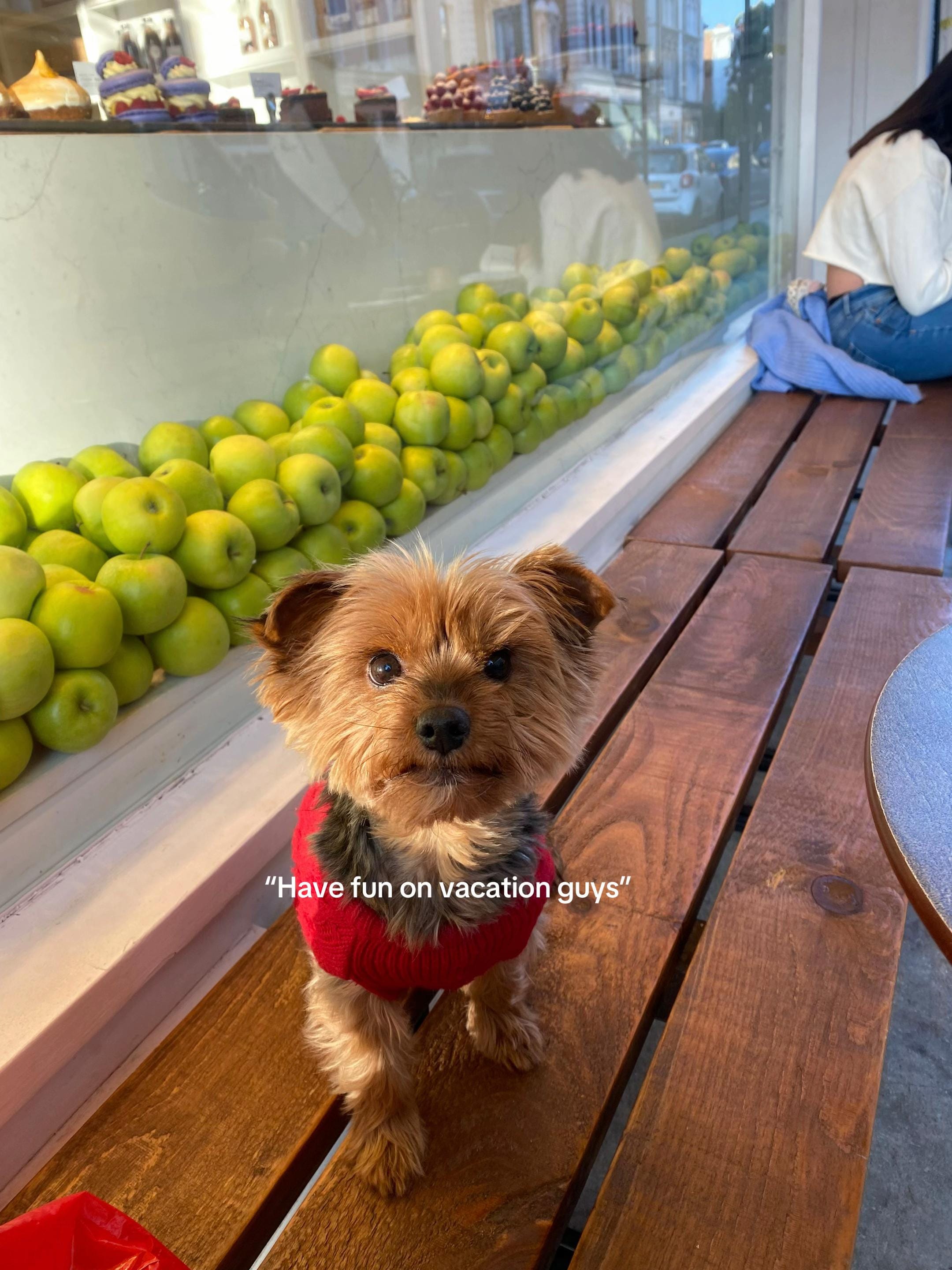 Post 5 by Soph on TikTok (video)