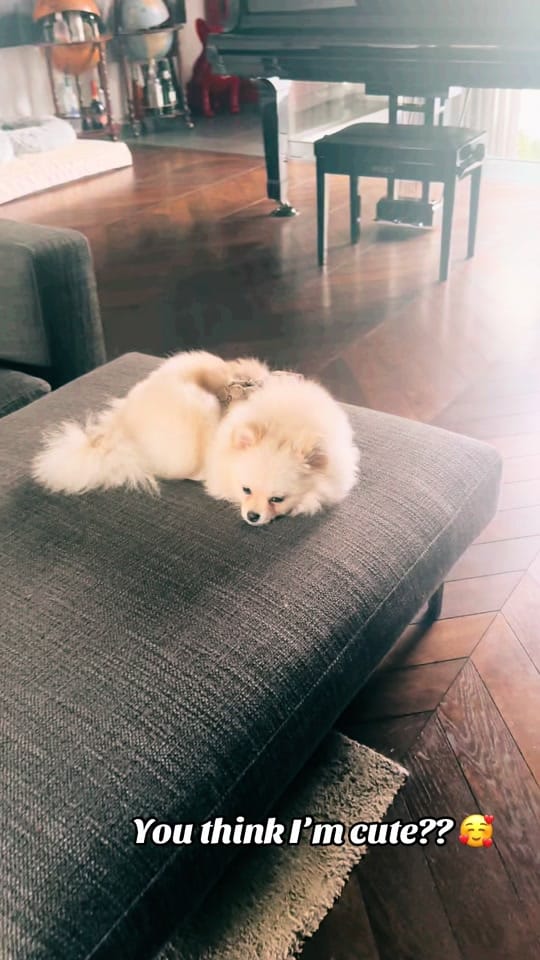 Post 5 by pom_neve on TikTok (video)