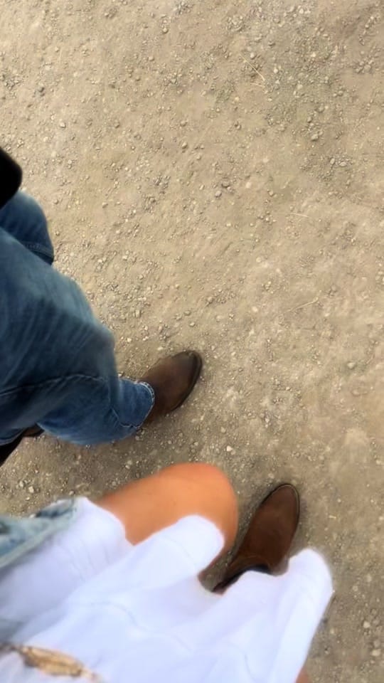 Post 6 by vandenlife on TikTok (video)
