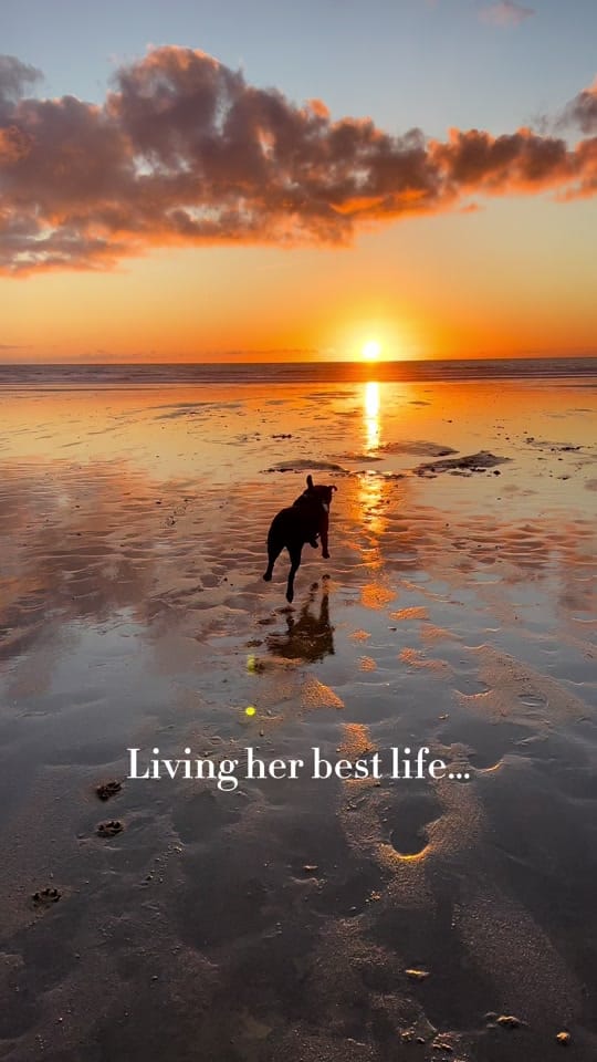 Post 3 by Cornwall Lover on TikTok (video)