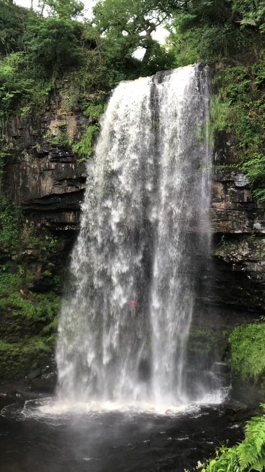 Post 3 by Lucy Purrington on TikTok (video)