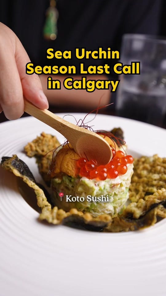 Post 9 by Post YYC | Calgary on TikTok (video)