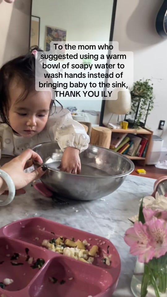 Post 6 by angelashanhu on TikTok (video)