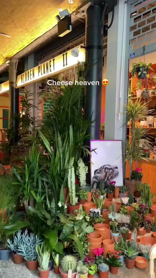 Post 3 by thelondonbutler on TikTok (video)