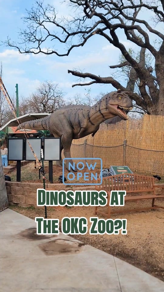 Post 8 by Thumbs Up OKC on TikTok (video)