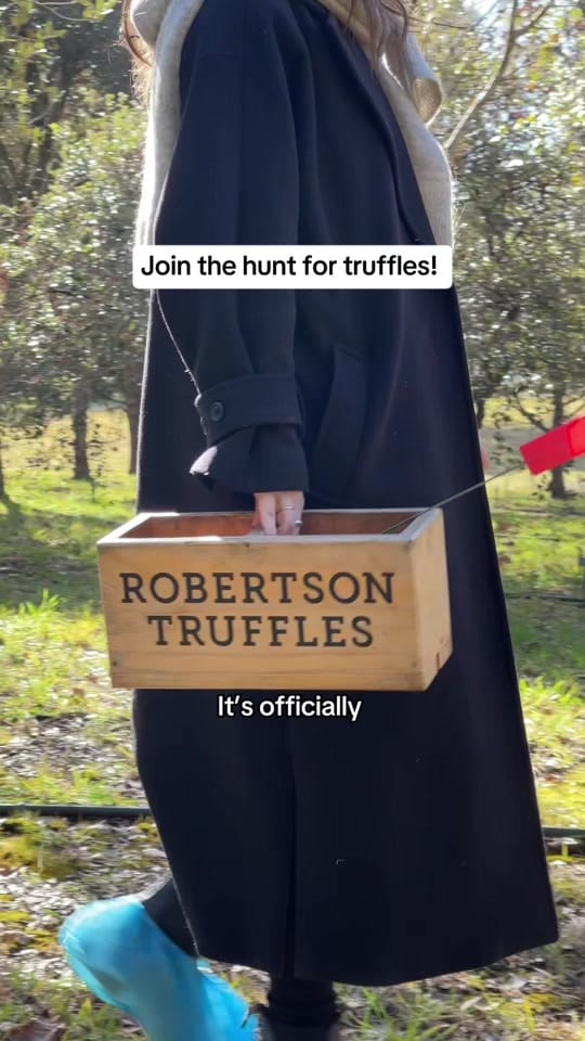 Post 5 by New South Wales on TikTok (video)