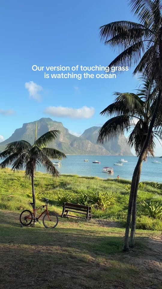 Post 6 by New South Wales on TikTok (video)