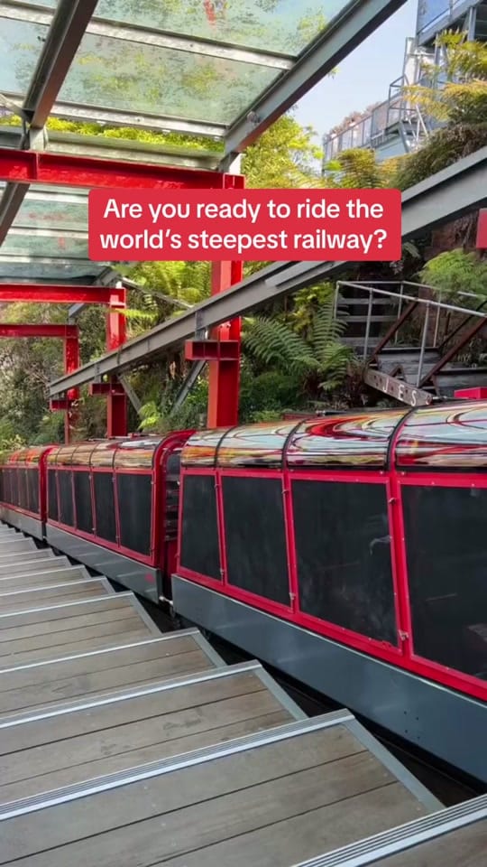 Post 8 by New South Wales on TikTok (video)