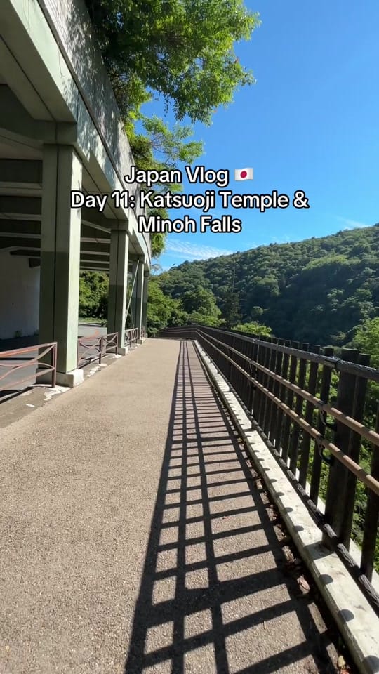 Post 7 by Kaitlyn and Kristin on TikTok (video)