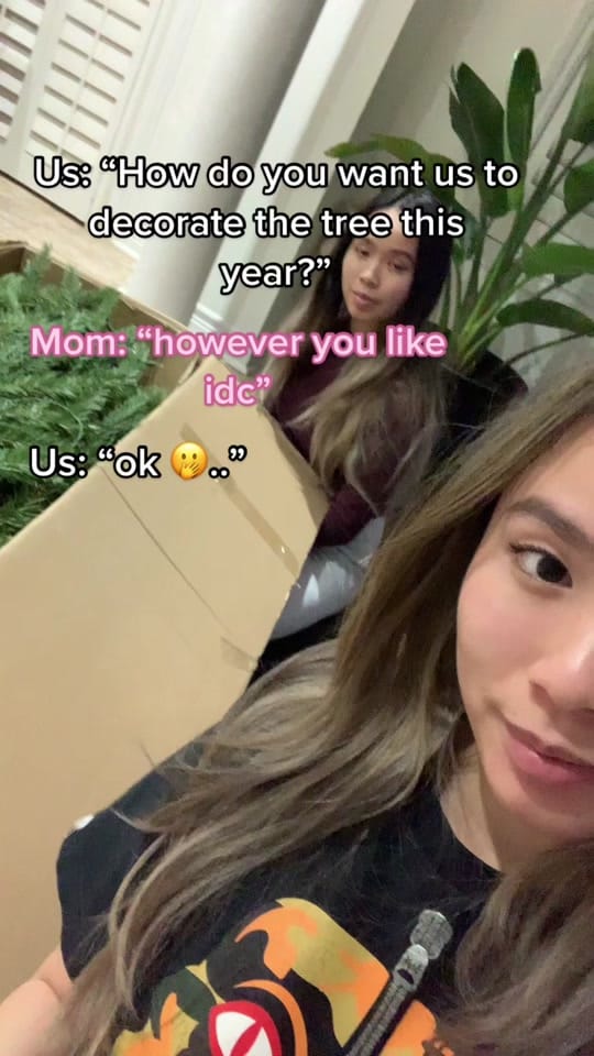 Post 10 by Kaitlyn and Kristin on TikTok (video)