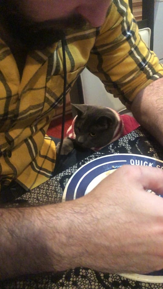 Post 4 by Velvet on TikTok (video)