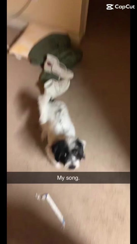 Post 2 by Abby Reign on TikTok (video)