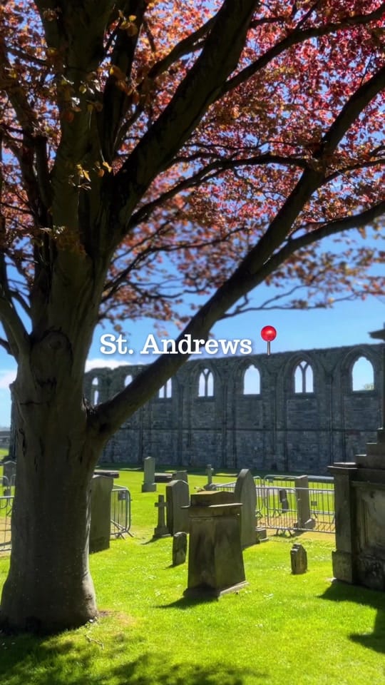 Post 4 by Experience Scotland’s Wild on TikTok (video)