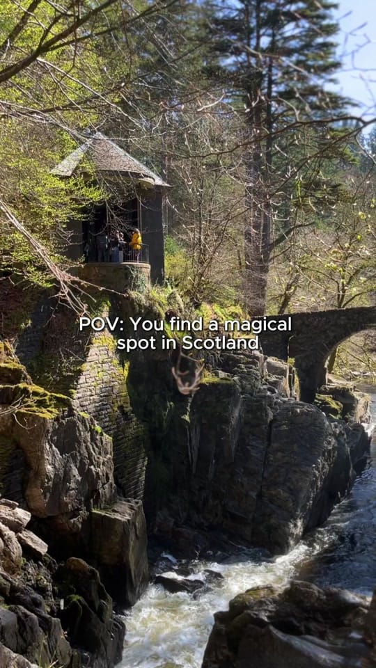 Post 10 by Experience Scotland’s Wild on TikTok (video)