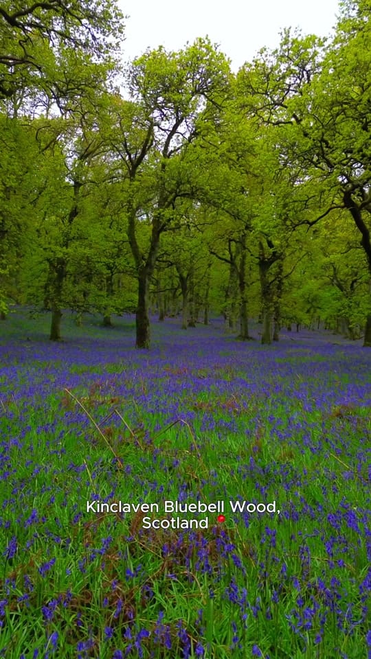 Post 6 by Experience Scotland’s Wild on TikTok (video)
