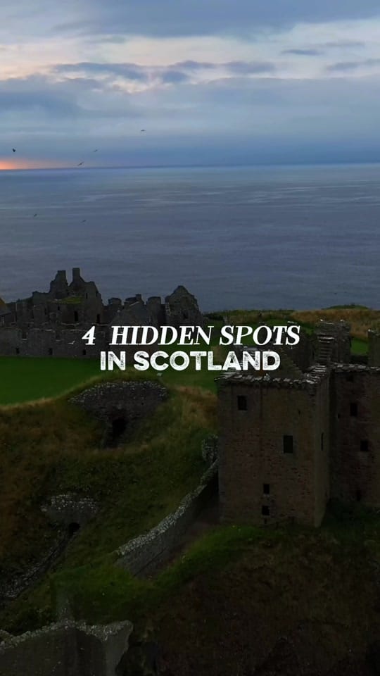 Post 7 by Experience Scotland’s Wild on TikTok (video)