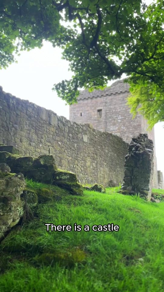Post 8 by Experience Scotland’s Wild on TikTok (video)