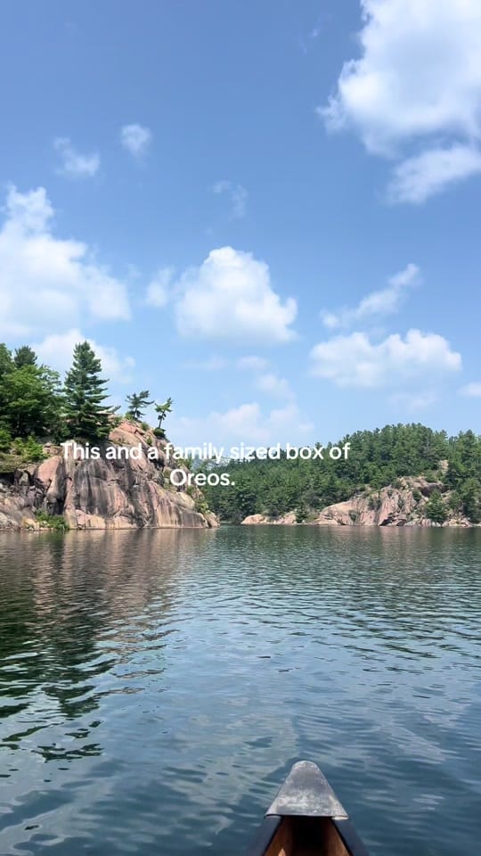 Post 9 by Ana in the Wild on TikTok (video)