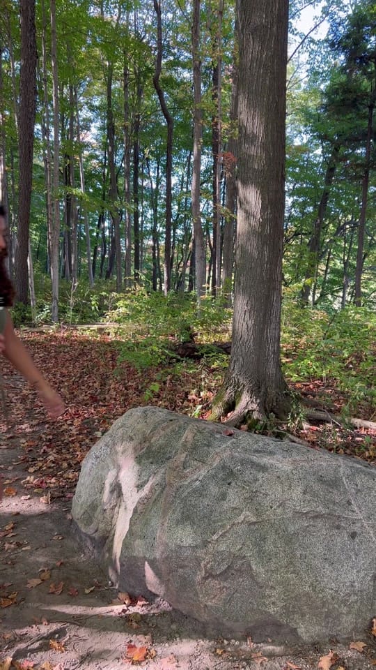 Post 3 by Ana in the Wild on TikTok (video)