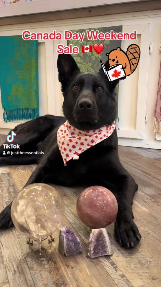 Post 4 by justtheessentials_ on TikTok (video)