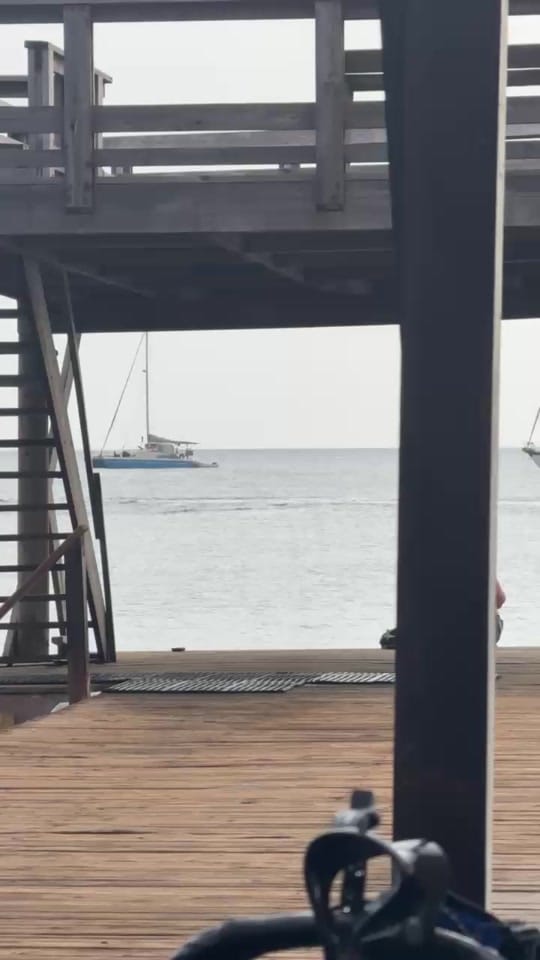Post 4 by Justin the Moment on TikTok (video)