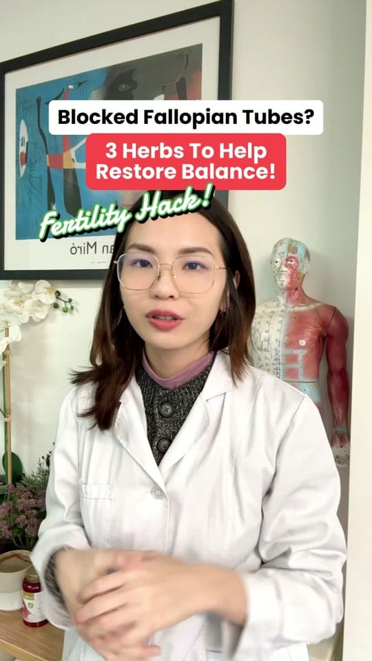 Post 8 by GINSEN London on TikTok (video)