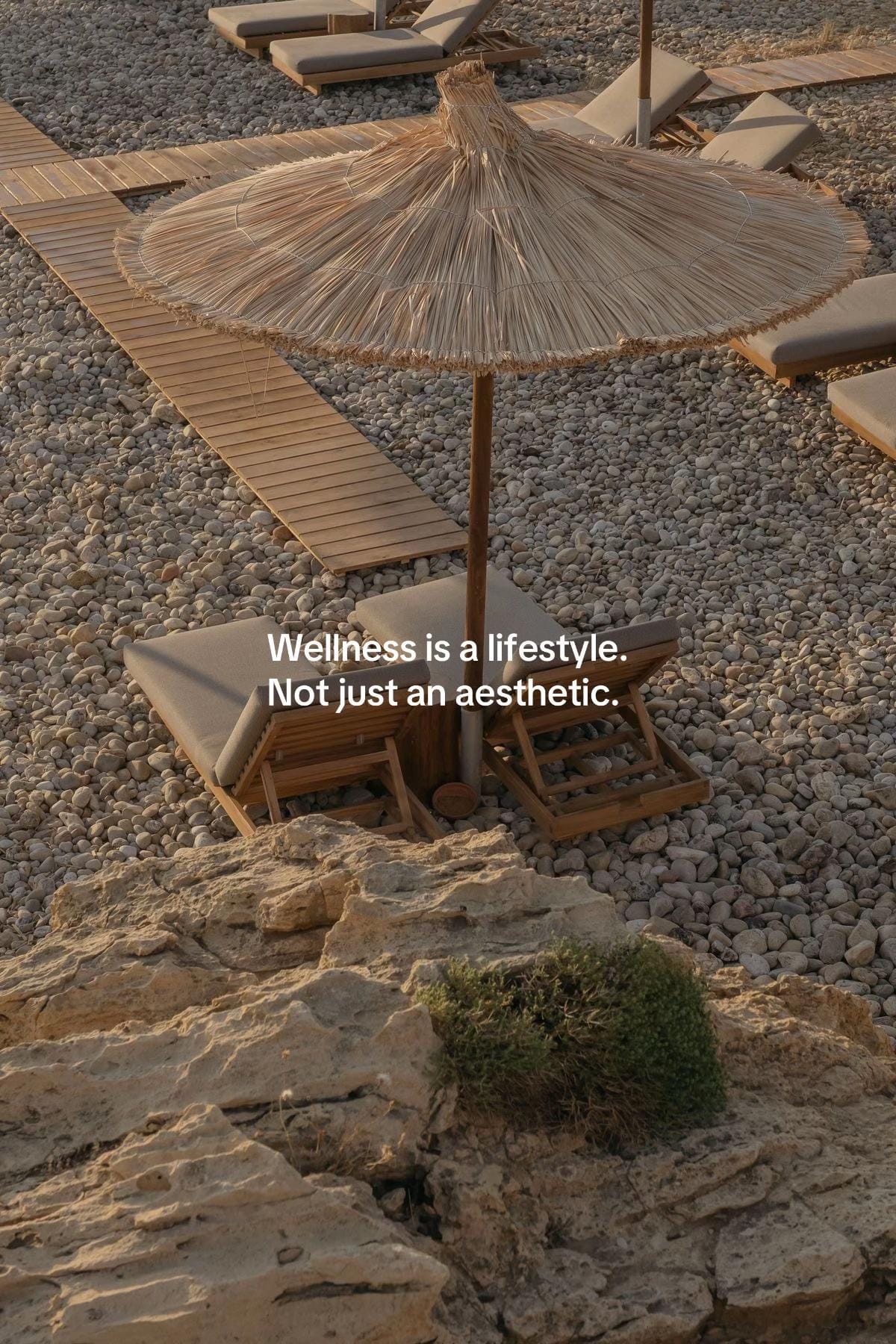 Post 10 by The Wellness on TikTok (video)