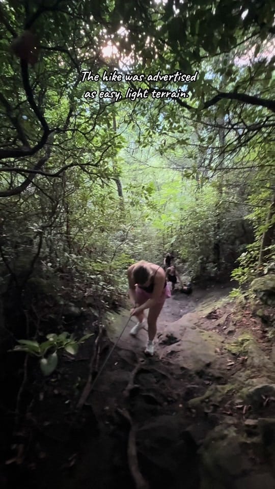 Post 10 by elizaamathers on TikTok (video)