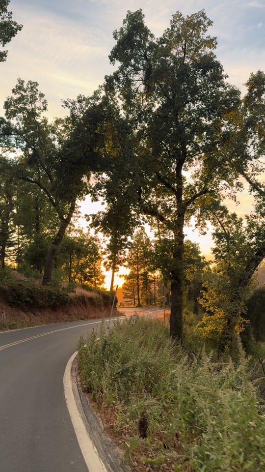 Post 3 by elizaamathers on TikTok (video)