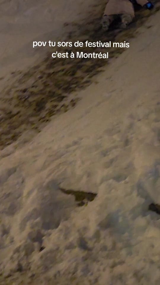 Post 2 by Remi Bertrand on TikTok (video)