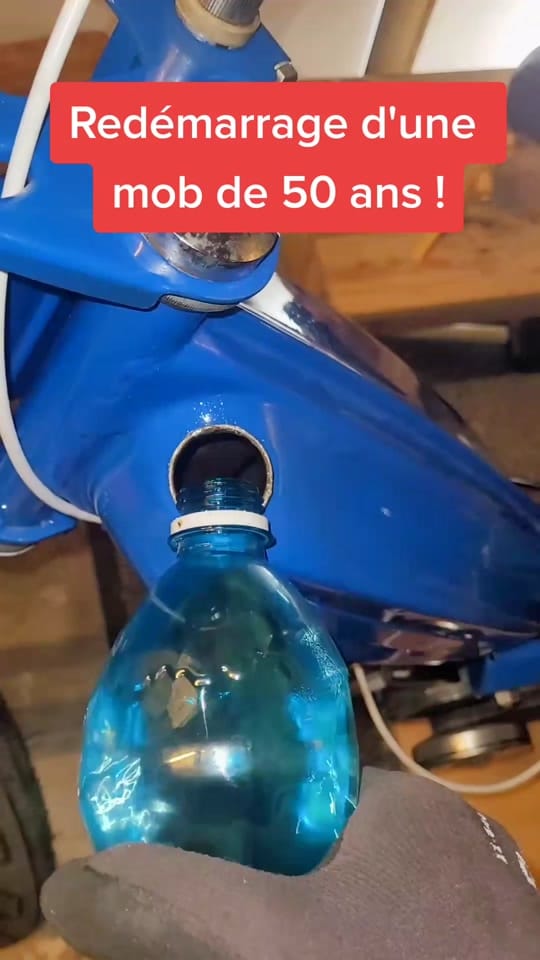 Post 3 by Remi Bertrand on TikTok (video)