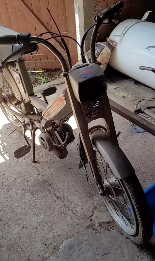 Post 9 by Remi Bertrand on TikTok (video)