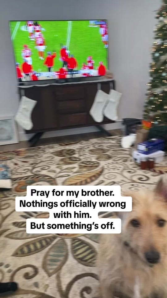 Post 10 by greenhatclown on TikTok (video)