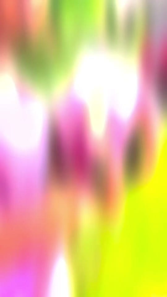 Post 4 by VmpVideoPhoto on TikTok (video)