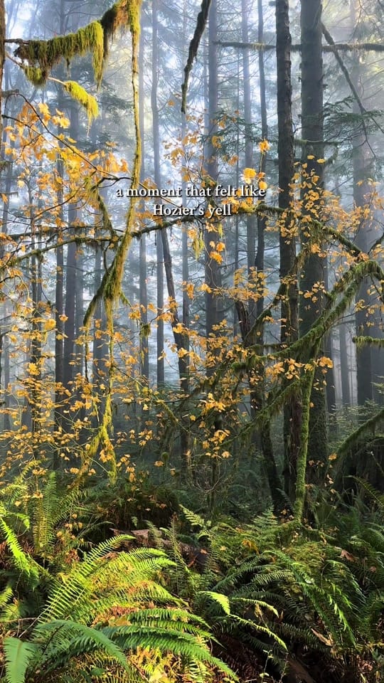 Post 10 by Rachel Barkman on TikTok (video)