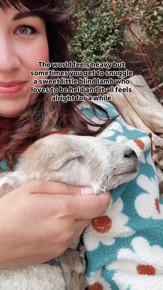 Post 8 by Rachel Barkman on TikTok (video)