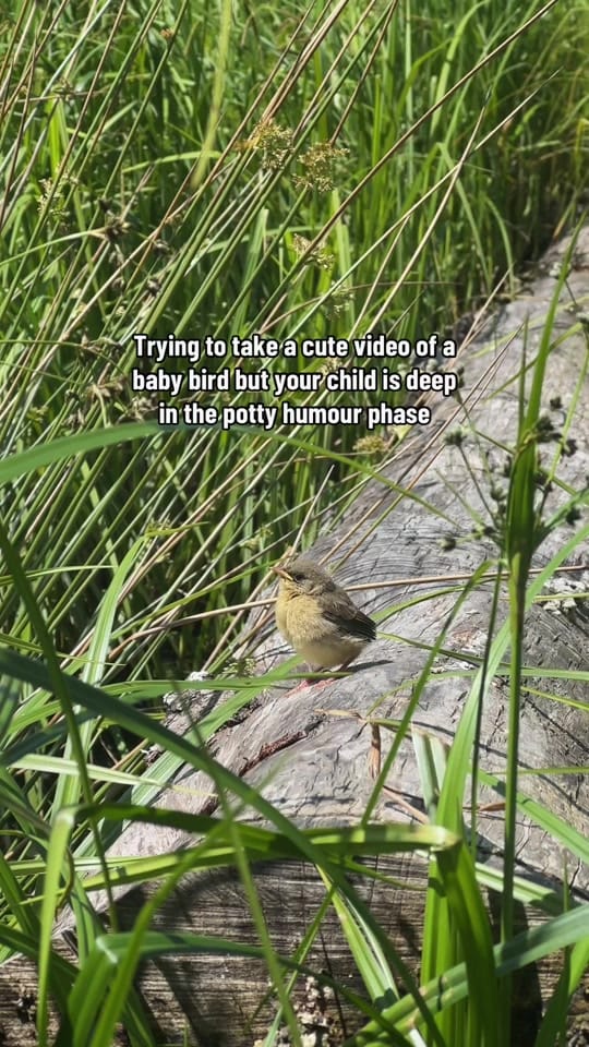 Post 3 by Rachel Barkman on TikTok (video)