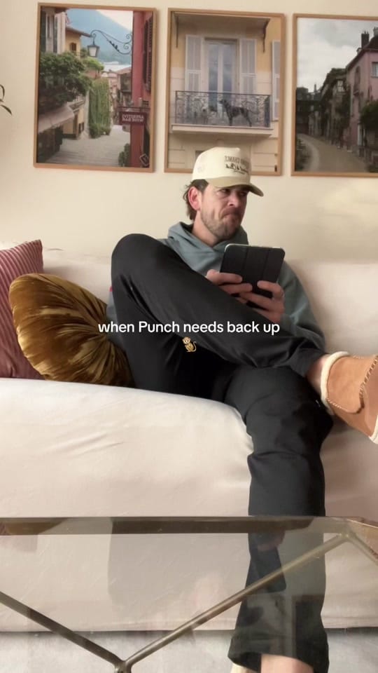 Post 6 by fraze on TikTok (video)