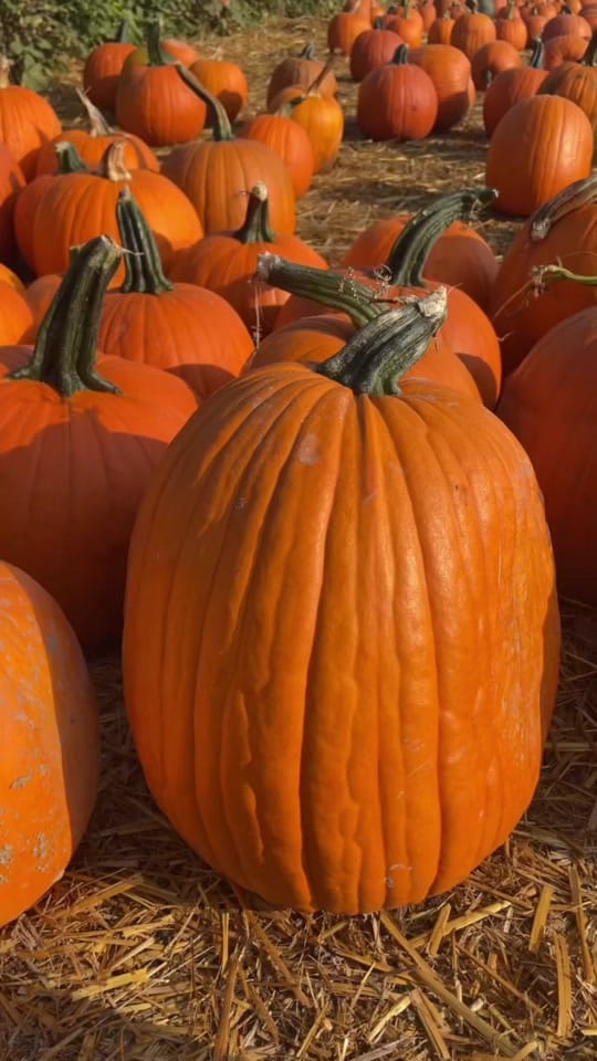 Post 4 by jess l HIKE TRAVEL CANADA on TikTok (video)