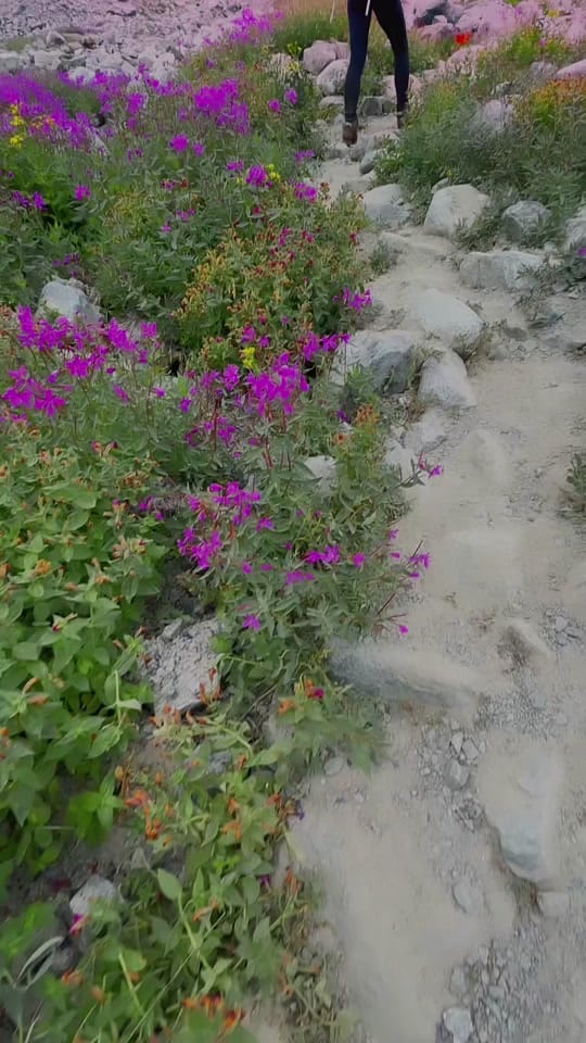 Post 6 by jess l HIKE TRAVEL CANADA on TikTok (video)