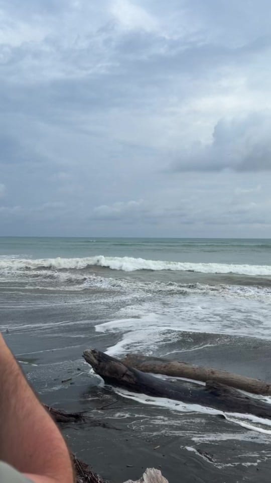 Post 8 by Katerina Rubina on TikTok (video)