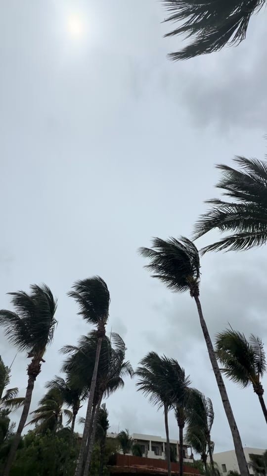 Post 4 by Ryan Taylor / The Video Guy 🎥 on TikTok (video)