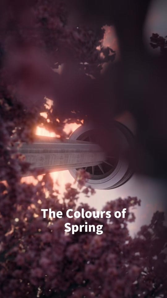 Post 6 by Argen on TikTok (video)