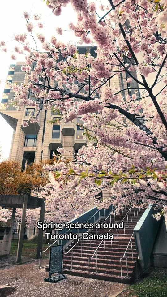 Post 9 by Argen on TikTok (video)